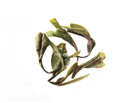 Loose Leaf Bai Mu Dan Brewed Tea Leaves